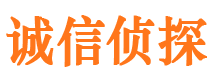 阳新捉小三公司